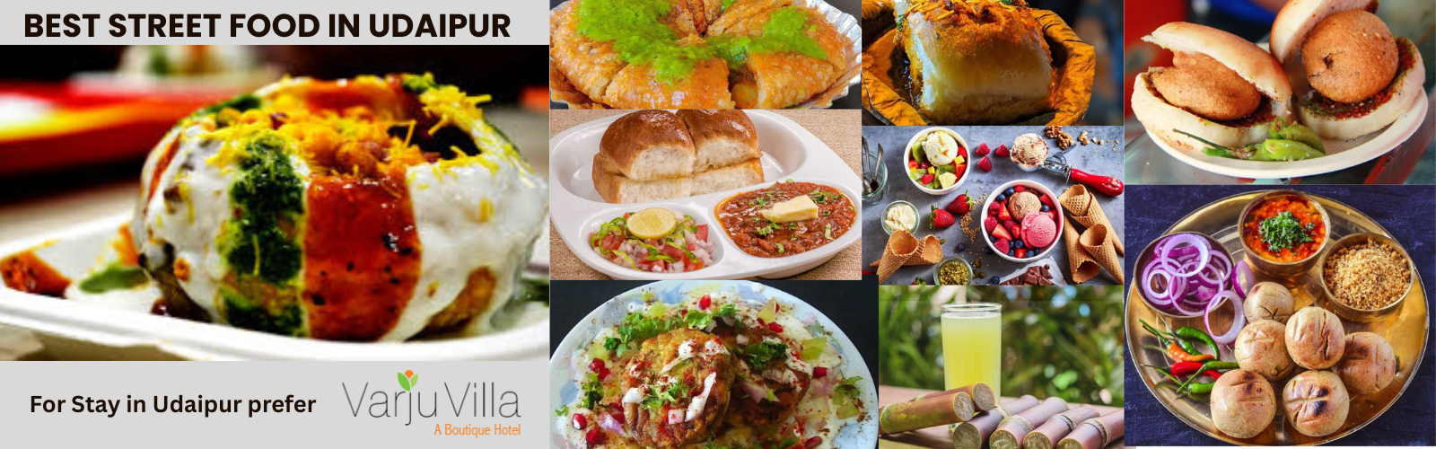 best street food in Udaipur